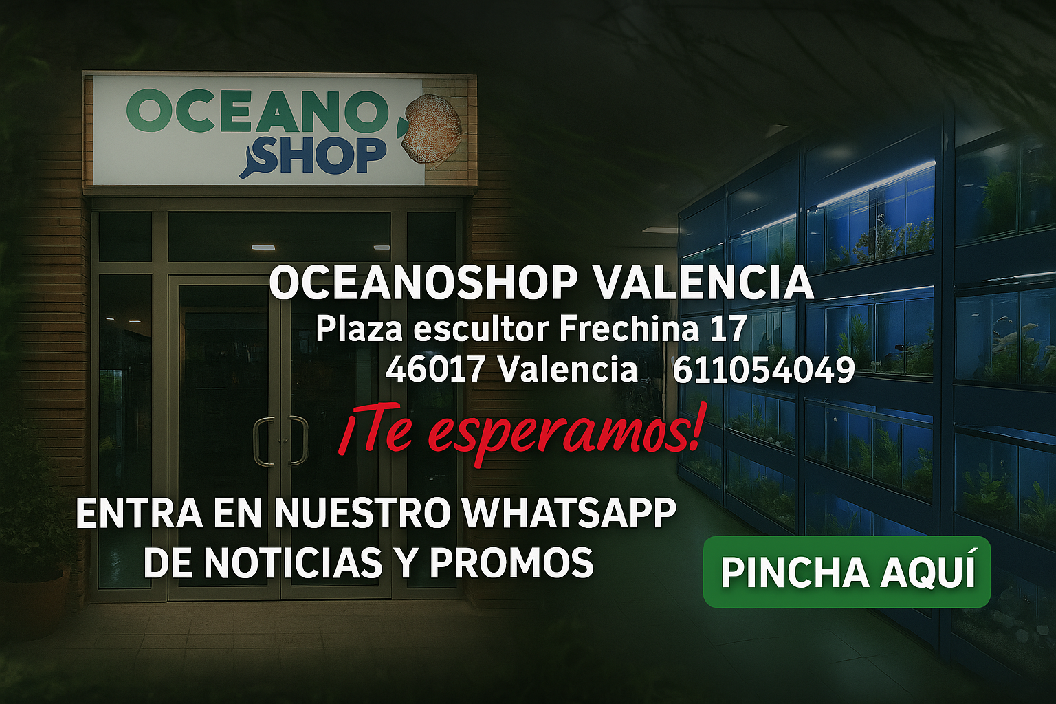 TIENDA OCEANOSHOP 